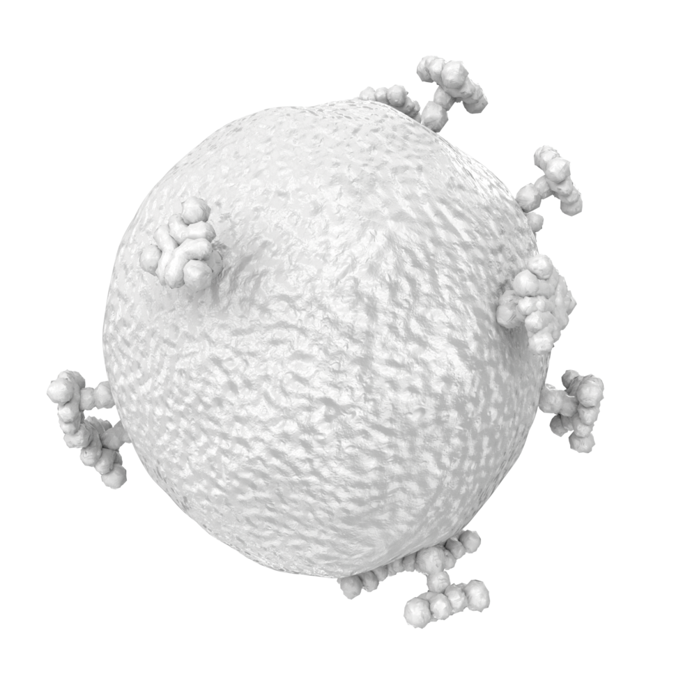 virus isolated on transparent background png