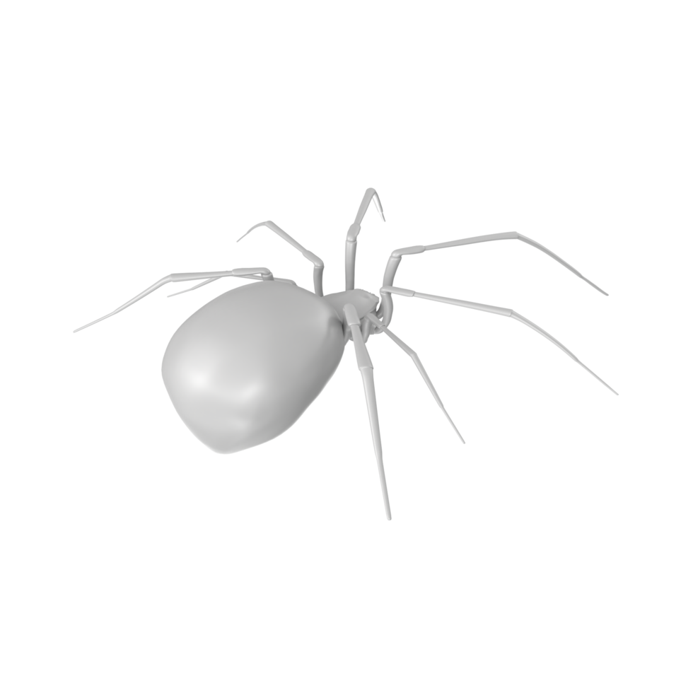 spider isolated on transparent background png