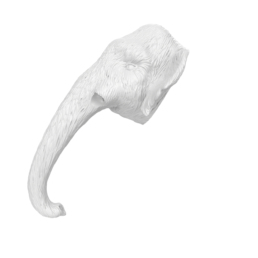 Mammoth head isolated on transparent png