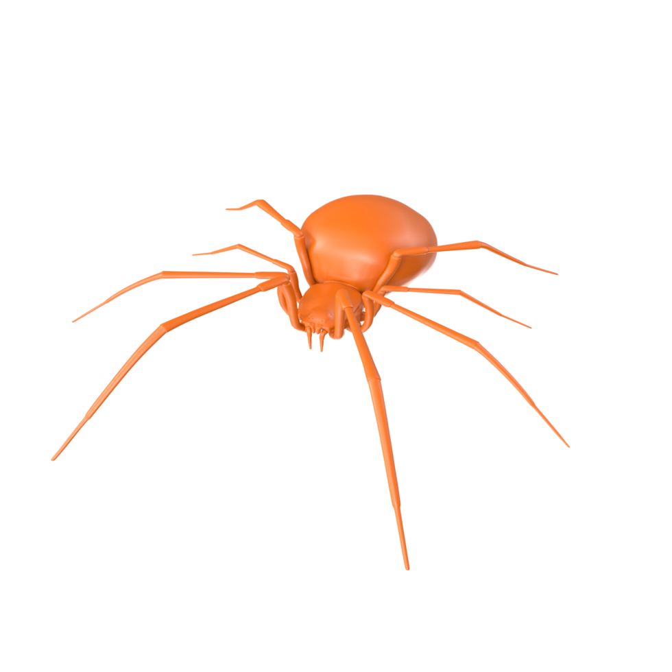 spider isolated on transparent background png