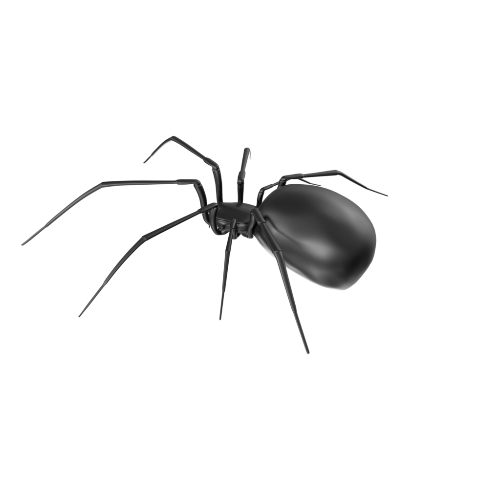 Spinne isoliert auf transparent Hintergrund png