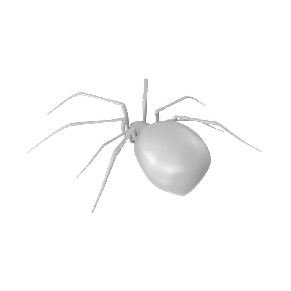 spider isolated on transparent background png
