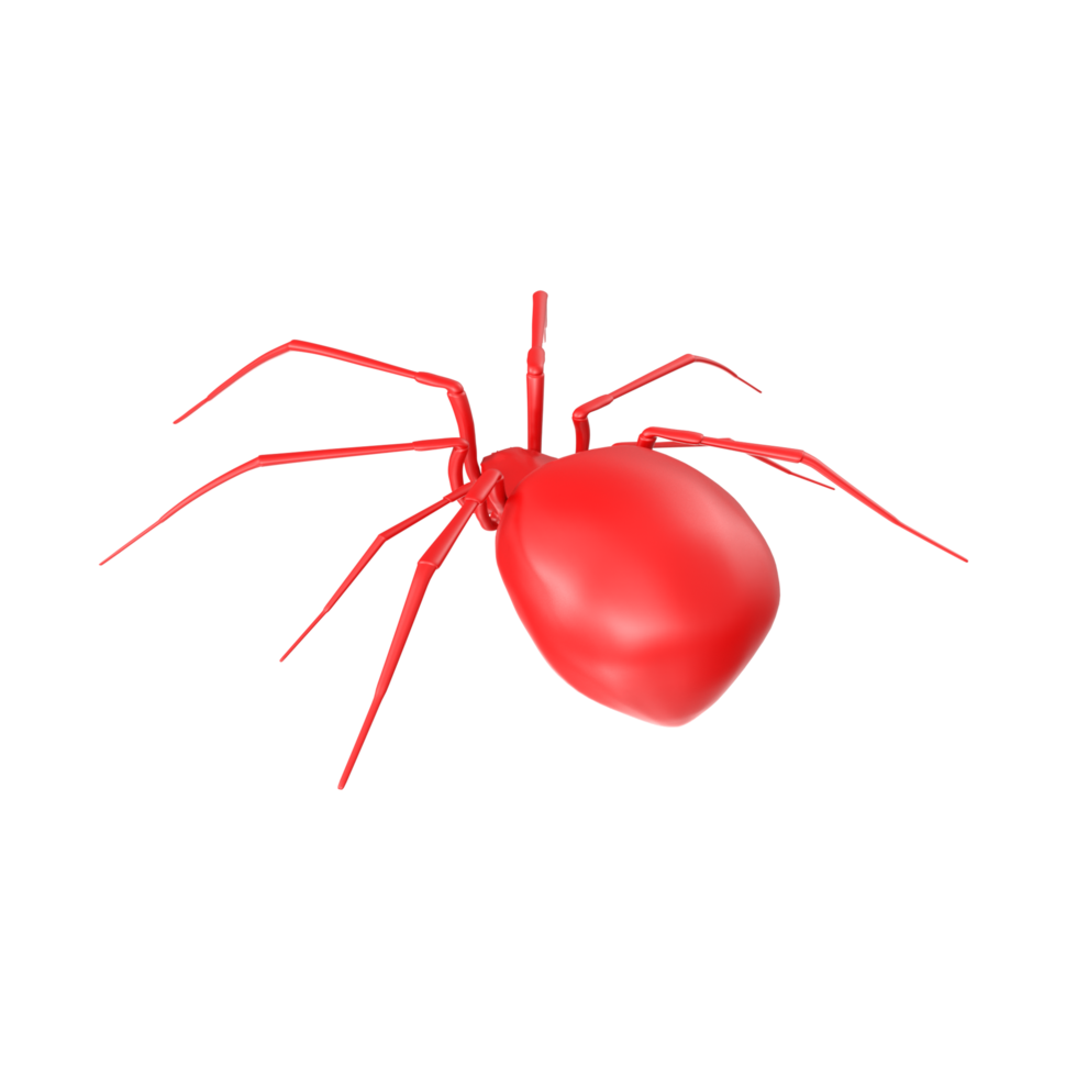 spider isolated on transparent background png