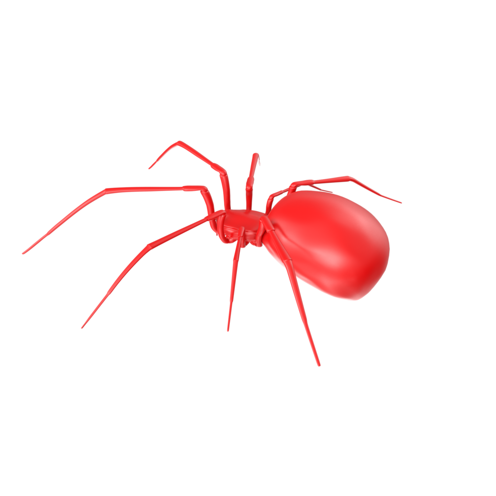 Spinne isoliert auf transparent Hintergrund png