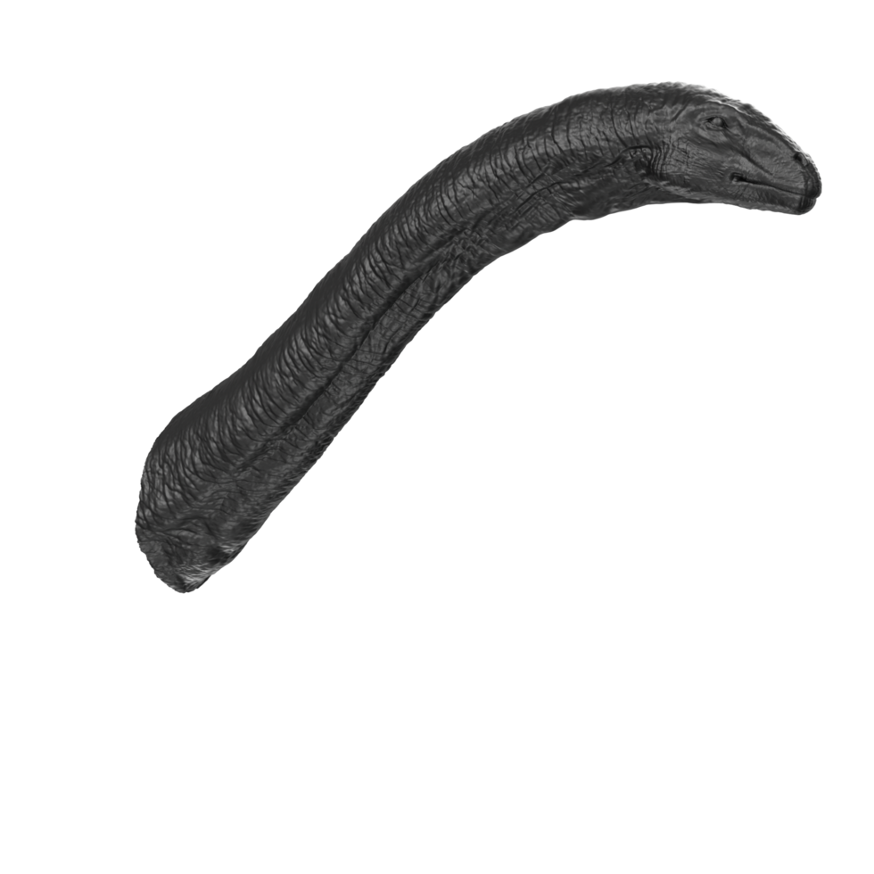 Apatosaurus djur- isolerat på transparent bakgrund png