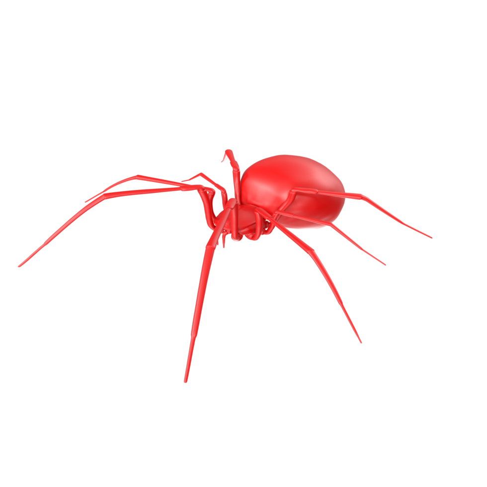 spider isolated on transparent background png