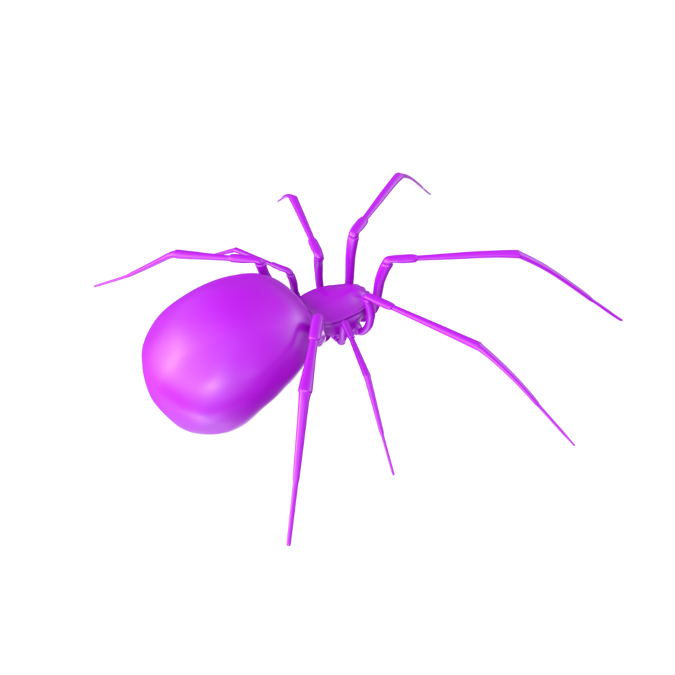 spider isolated on transparent background png