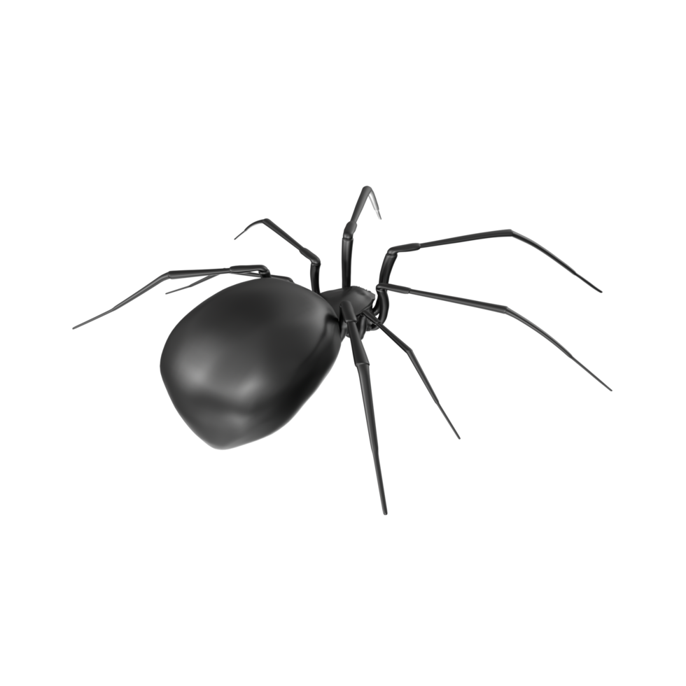 spider isolated on transparent background png