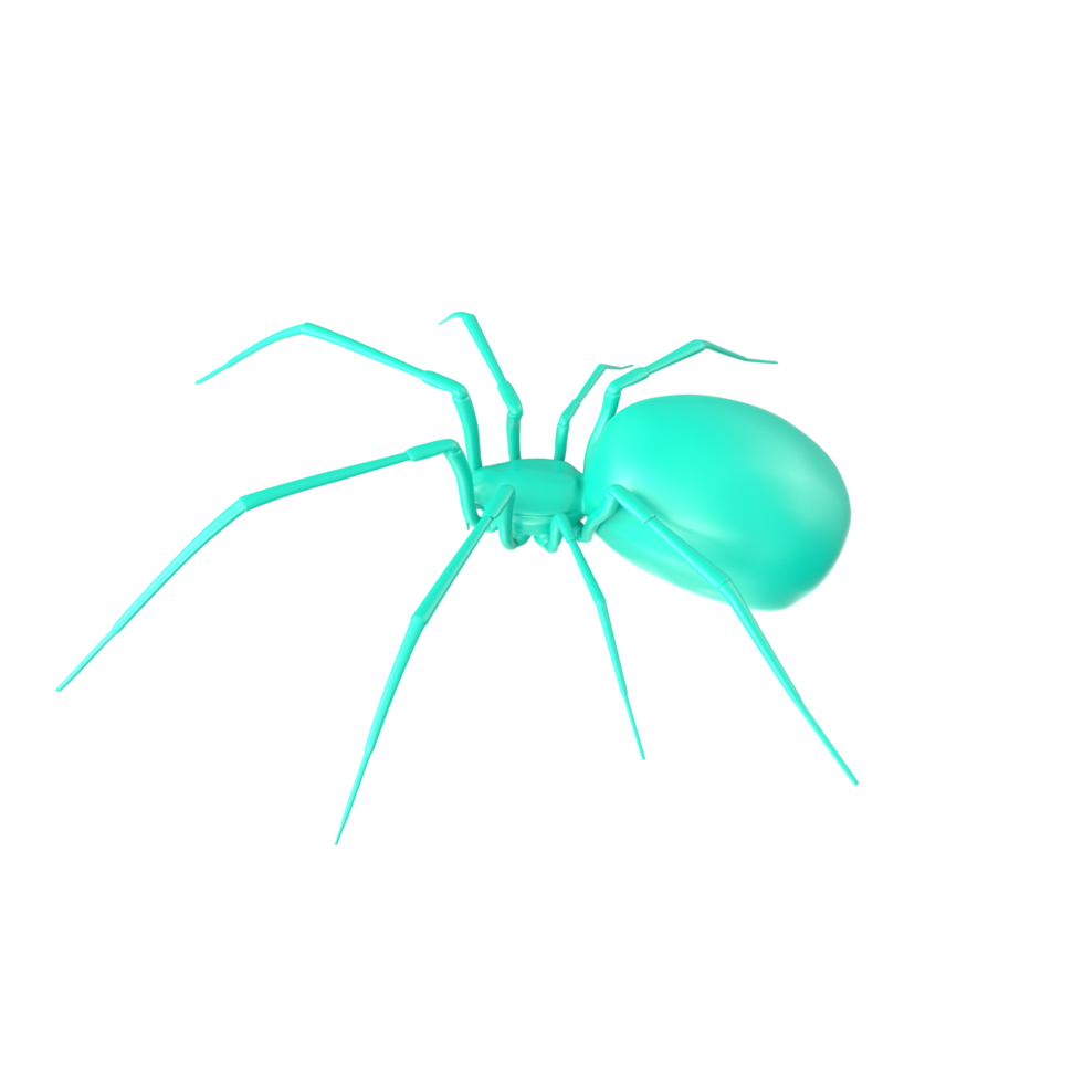 spider isolated on transparent background png
