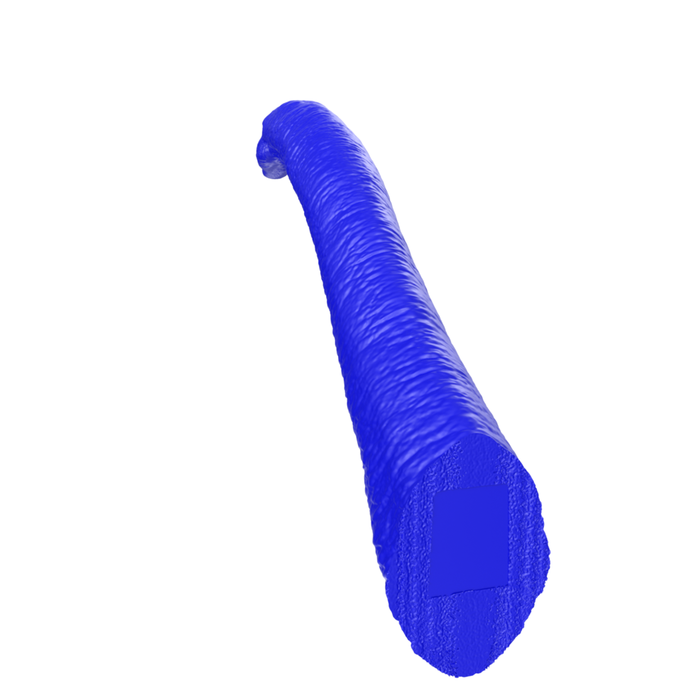 Apatosaurus animal isolated on transparent background png