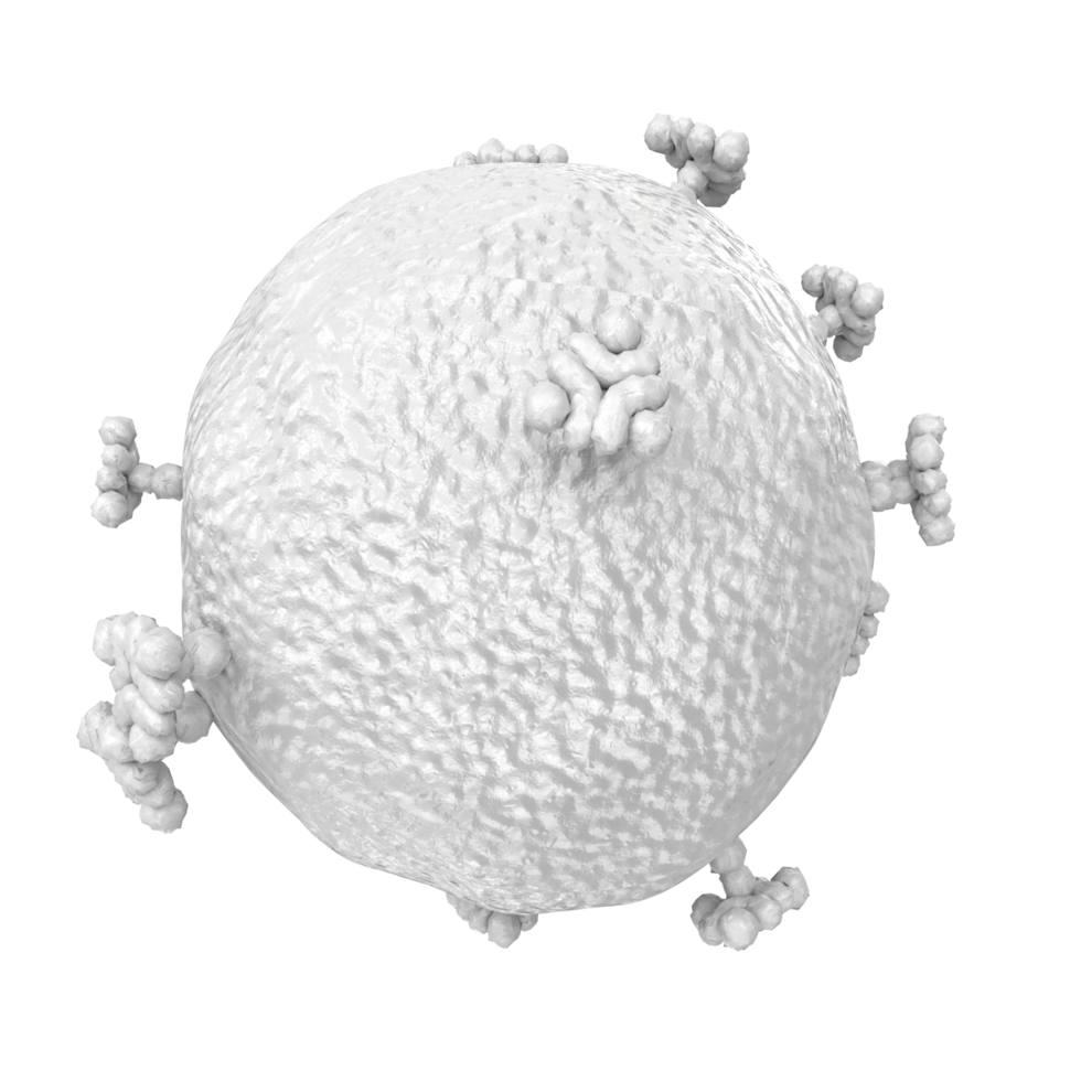 virus isolated on transparent background png