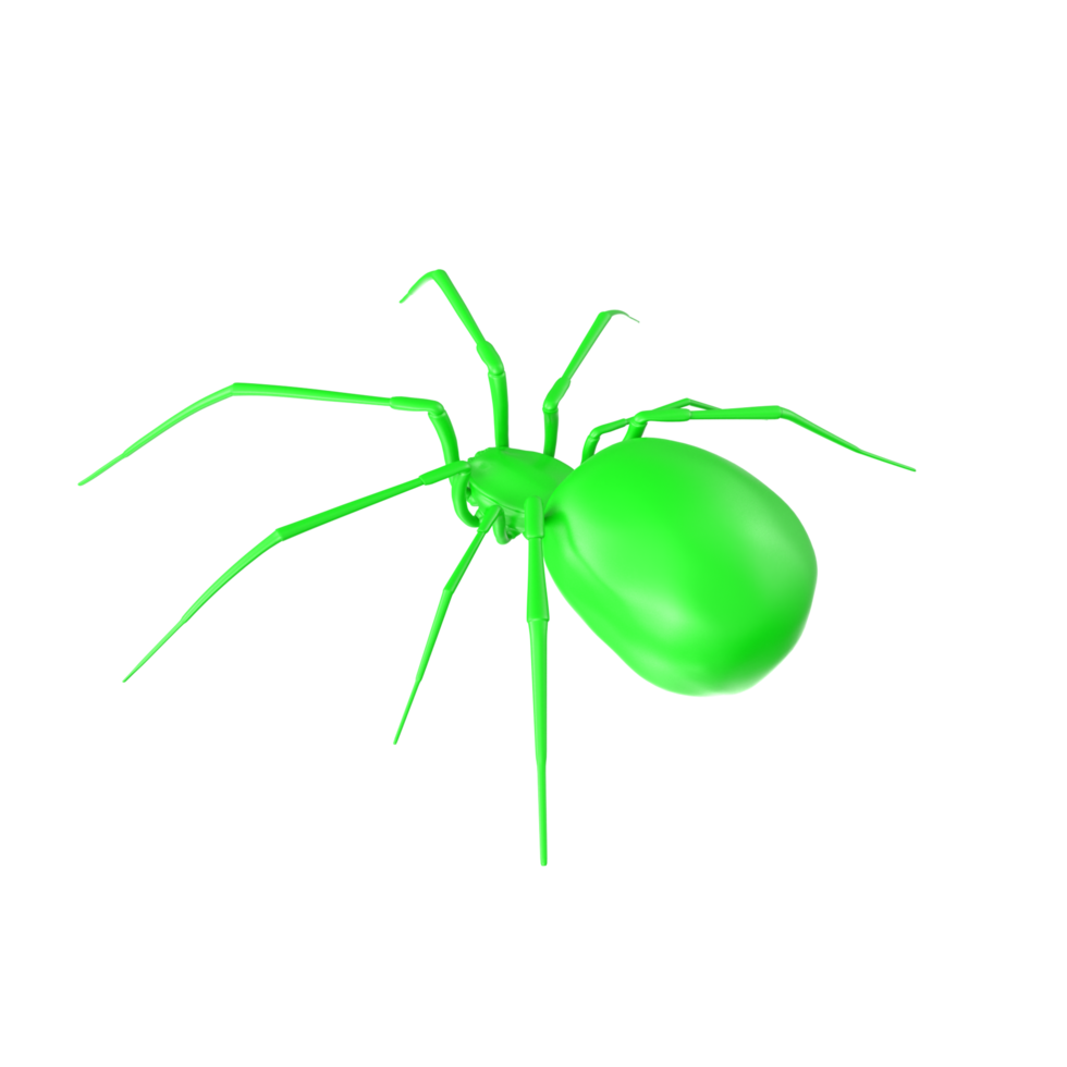 spider isolated on transparent background png