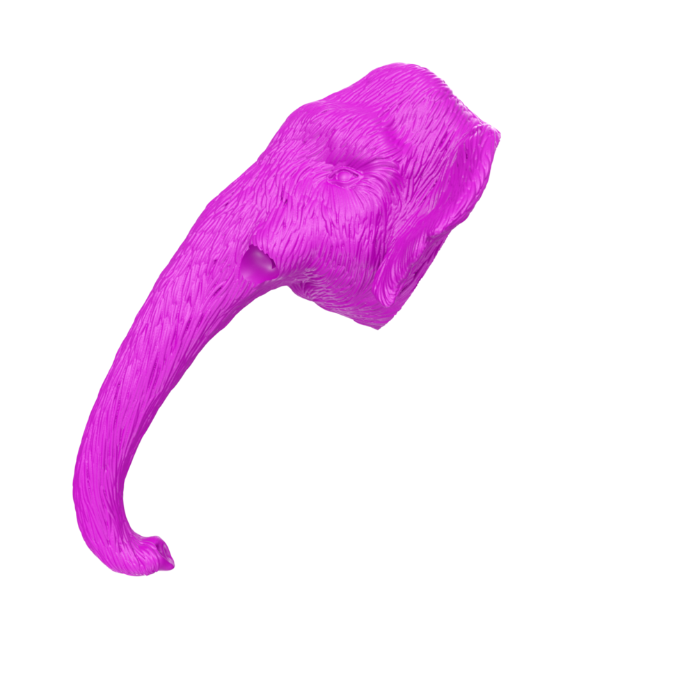 mamut cabeza aislado en transparente png