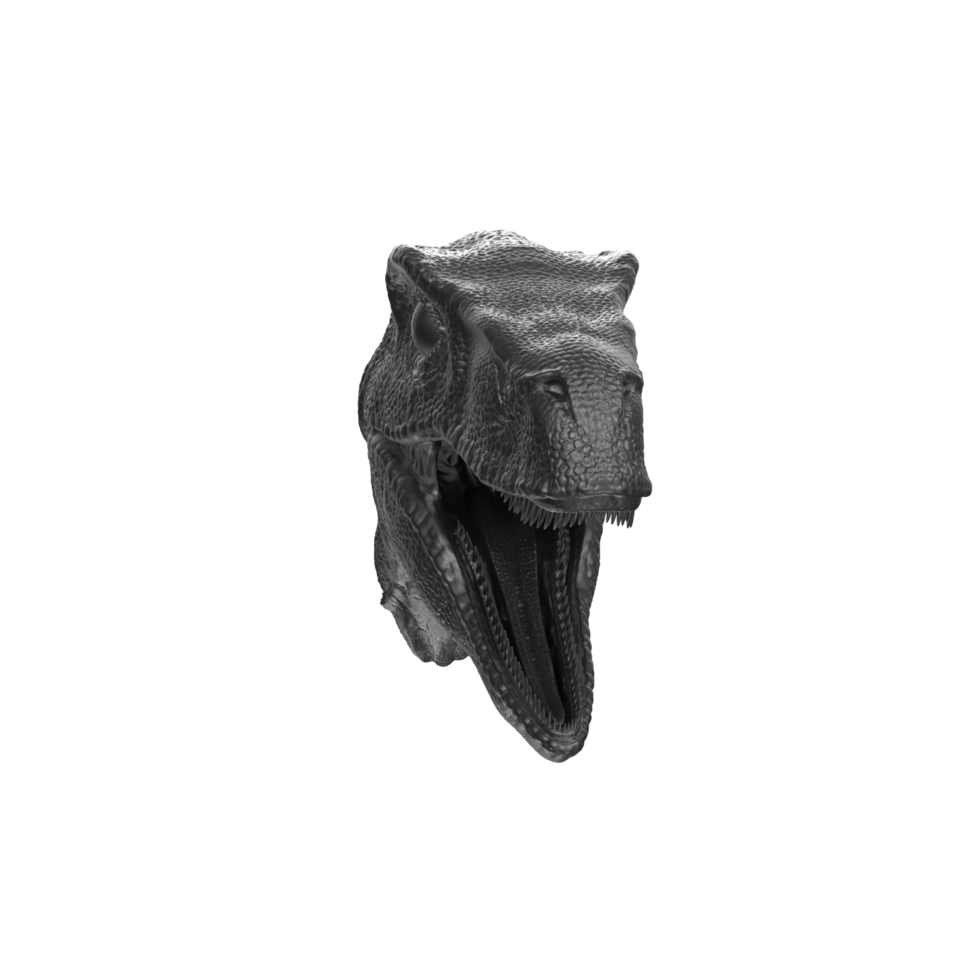 Raptor head isolated on transparent background png