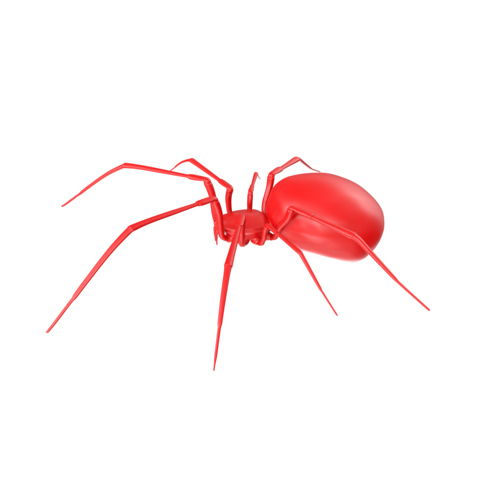 araignée isolé sur transparent Contexte png