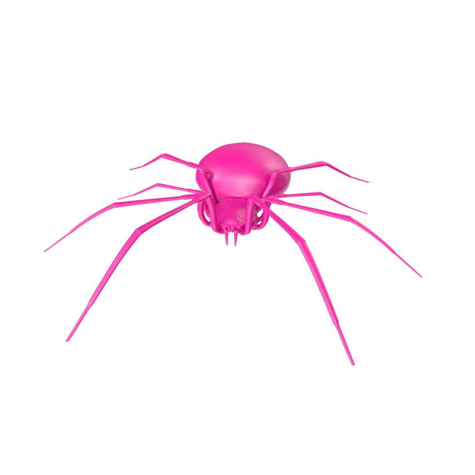 spider isolated on transparent background png