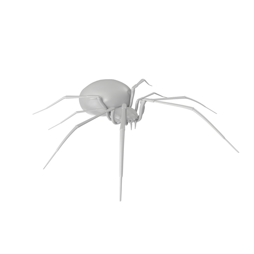 spider isolated on transparent background png