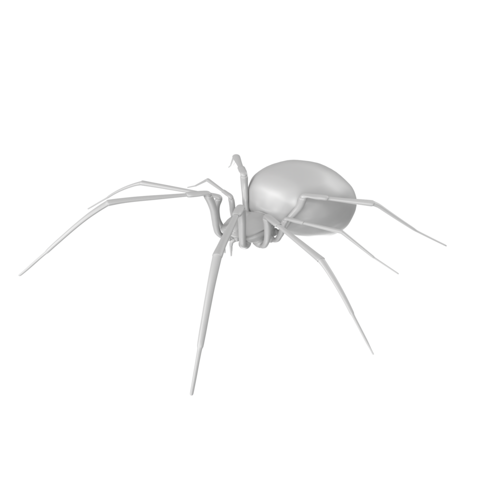 spider isolated on transparent background png