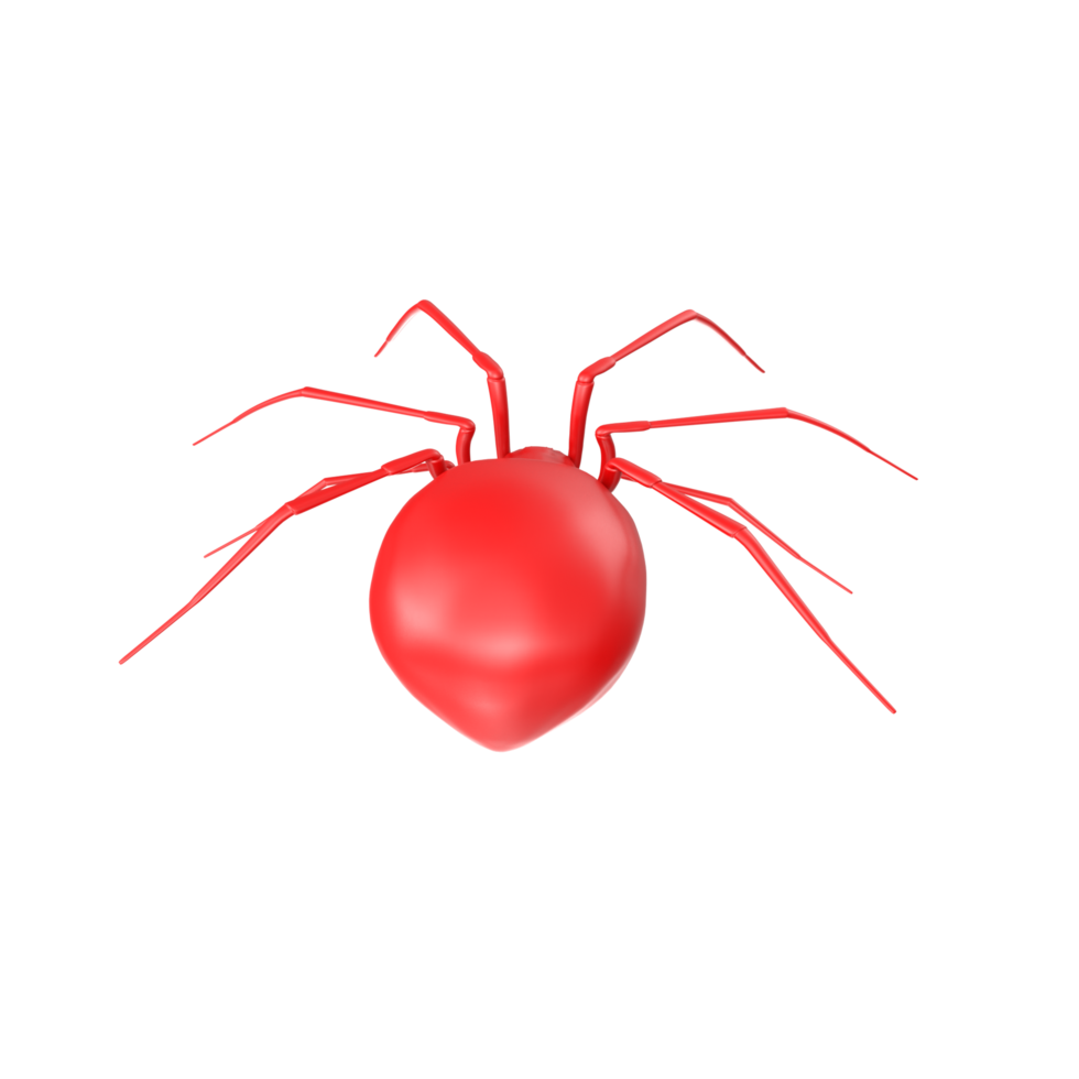 spider isolated on transparent background png