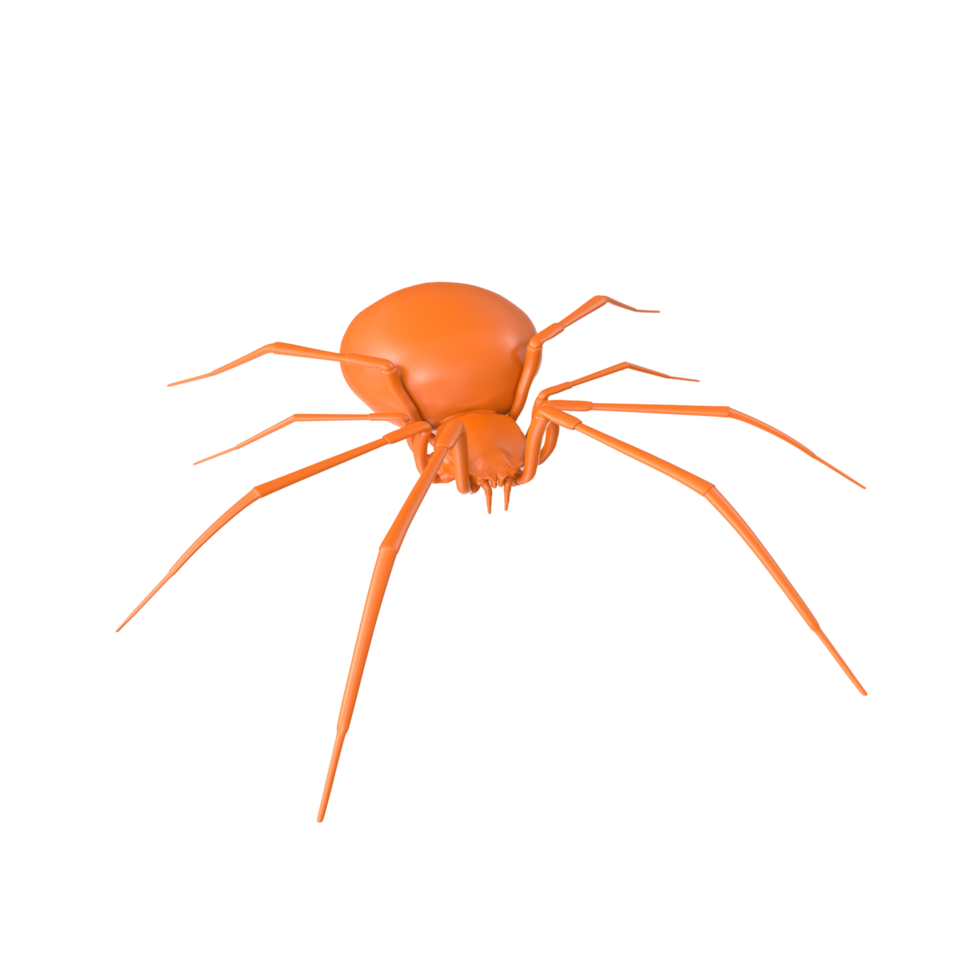 spider isolated on transparent background png