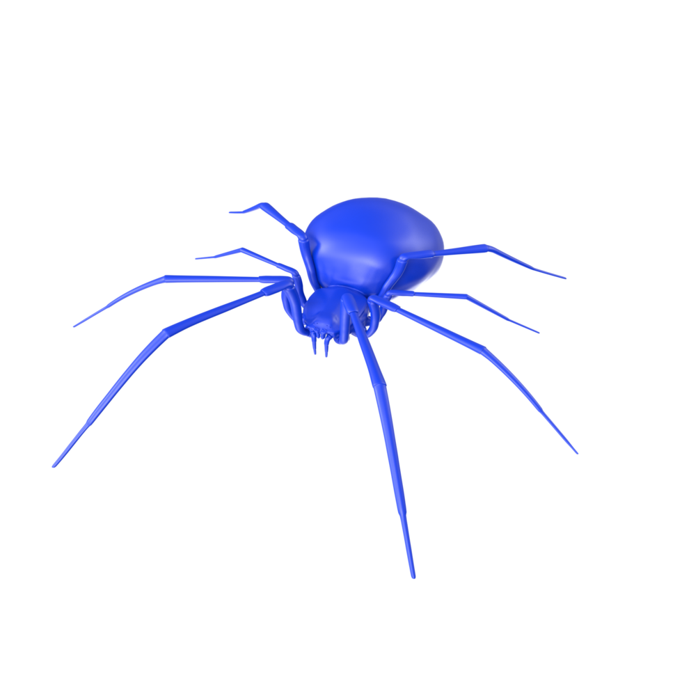 spider isolated on transparent background png