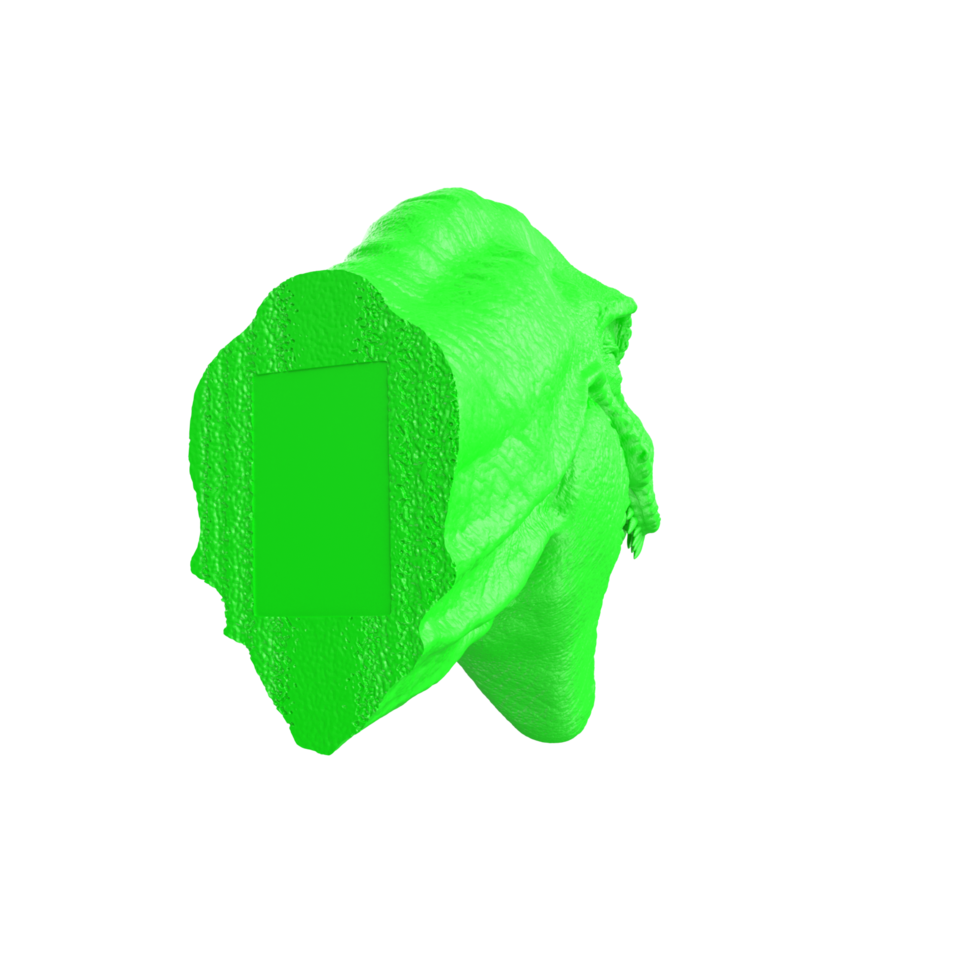 Tyrannosaurus Rex isolated on transparent background png