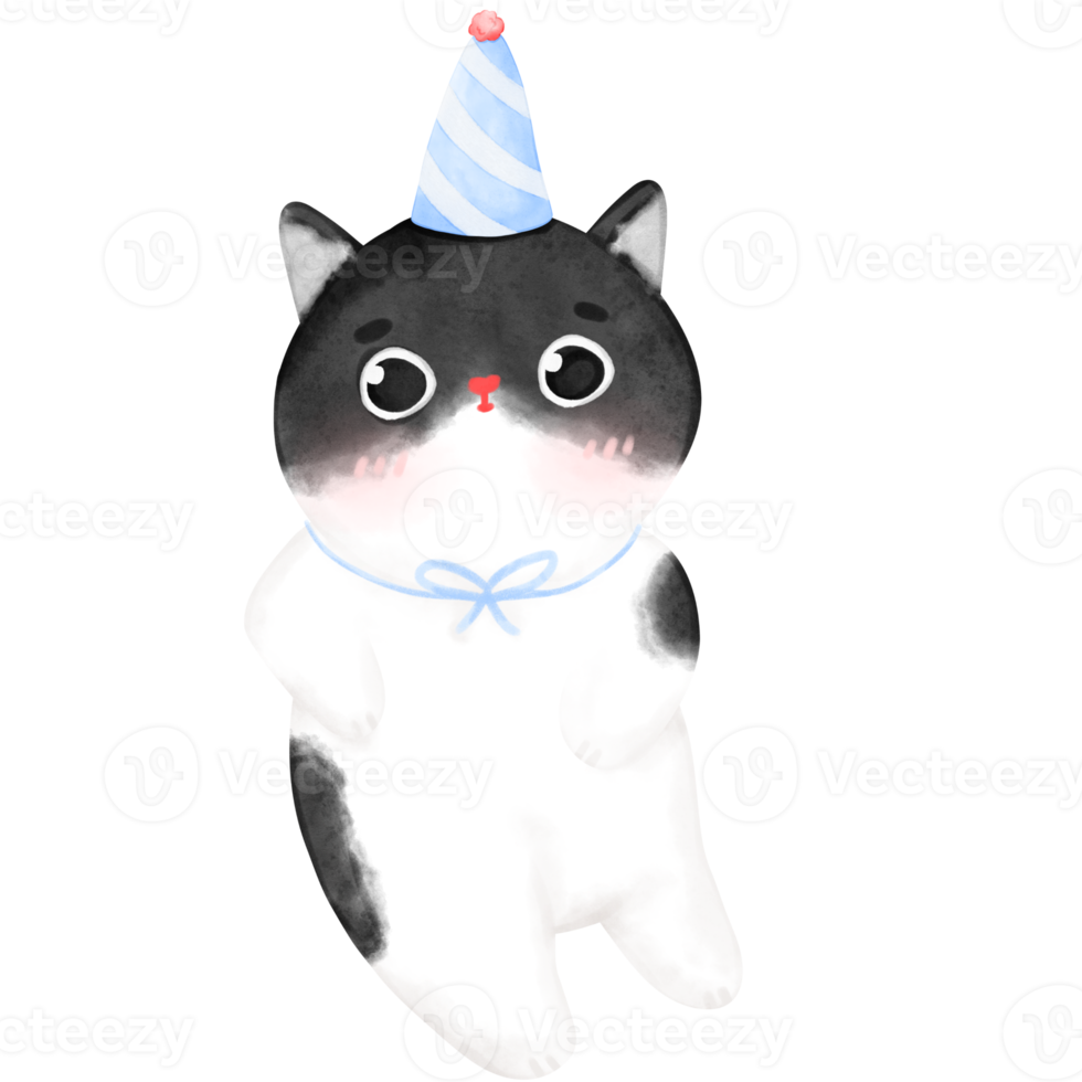 Happy Birthday Cat, Funny Cat, Cat illustration, Watercolor png