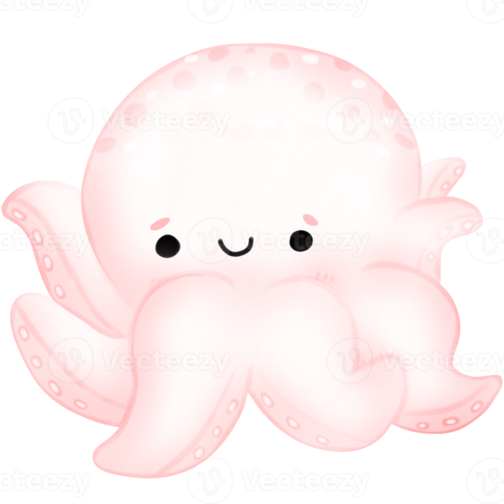 carino polpo, calamaro, polpo illustrazione, mare vita, animale illustrazione png