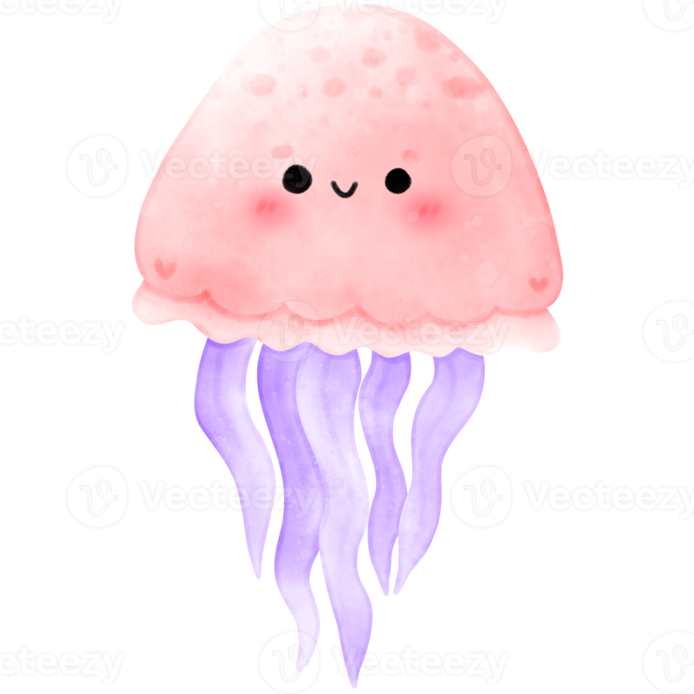 illustration de une méduse png