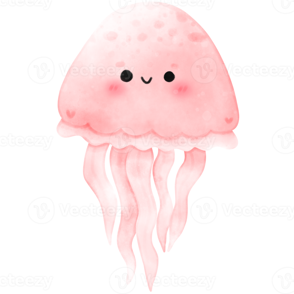 ilustração do uma medusa png