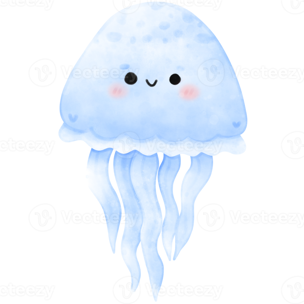 illustration of a jellyfish png