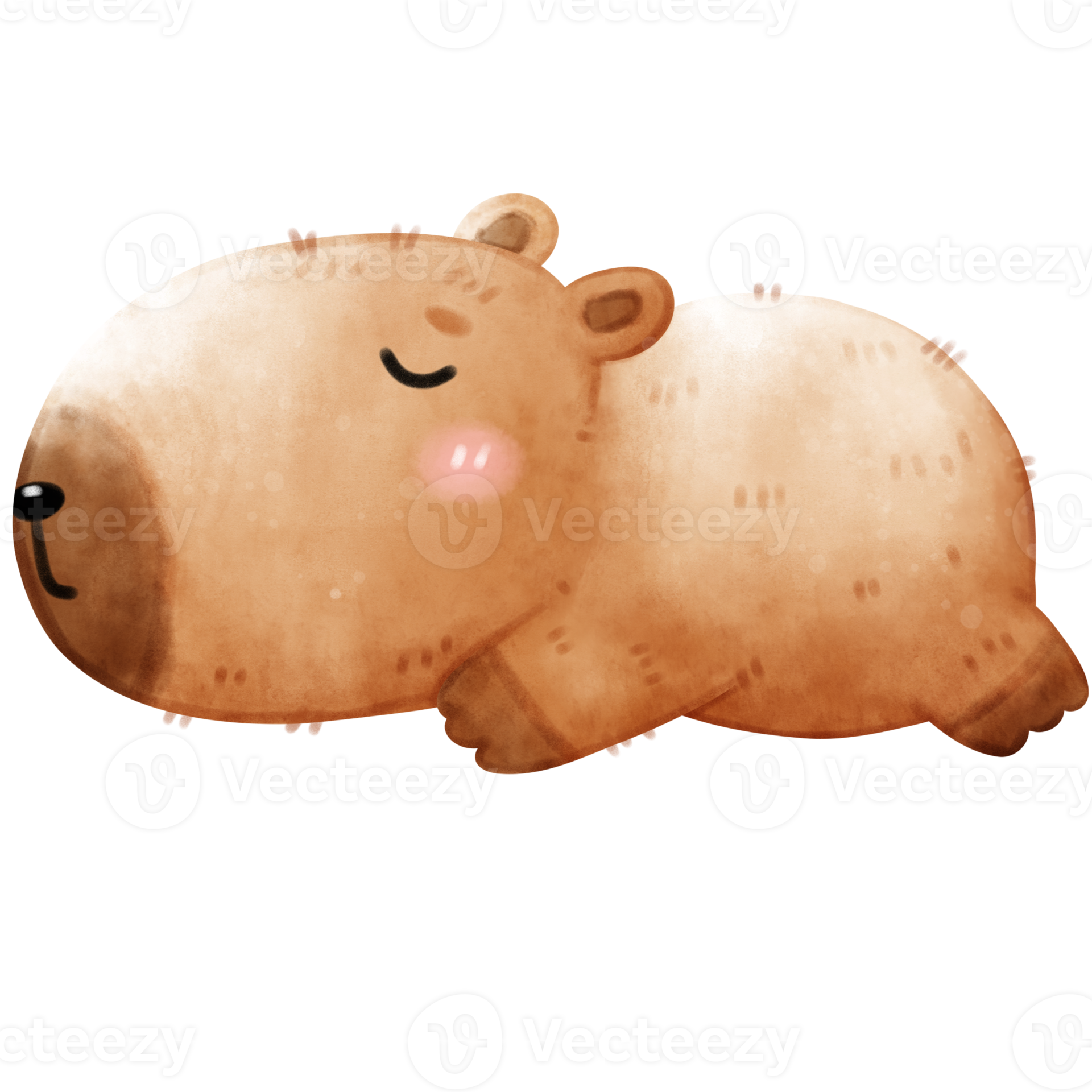 Is It A Nutria Rat Or A Capybara?  The Definitive Guide! - kwlrg1d