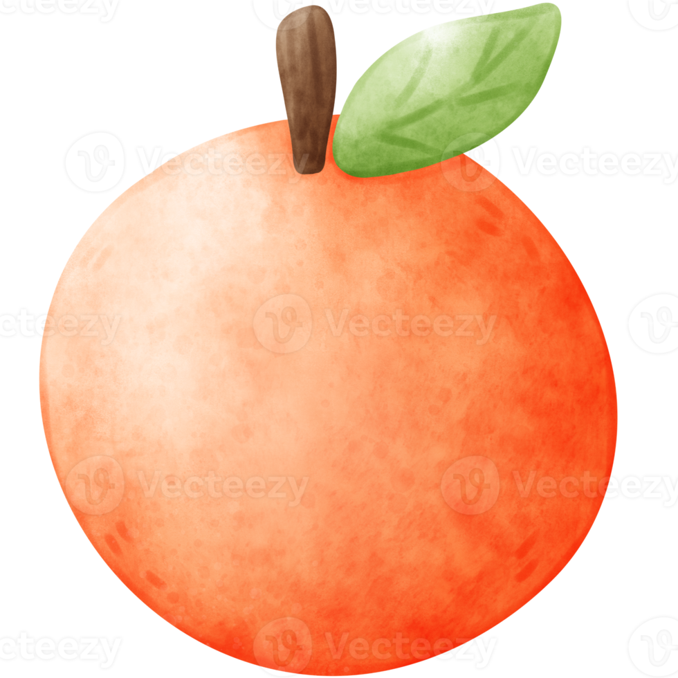 Orange illustration, aquarelle orange, Orange aquarelle illustration png