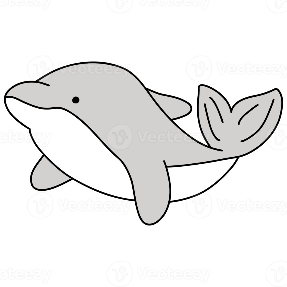 Dolphin illustration, sea life, animal illustration png