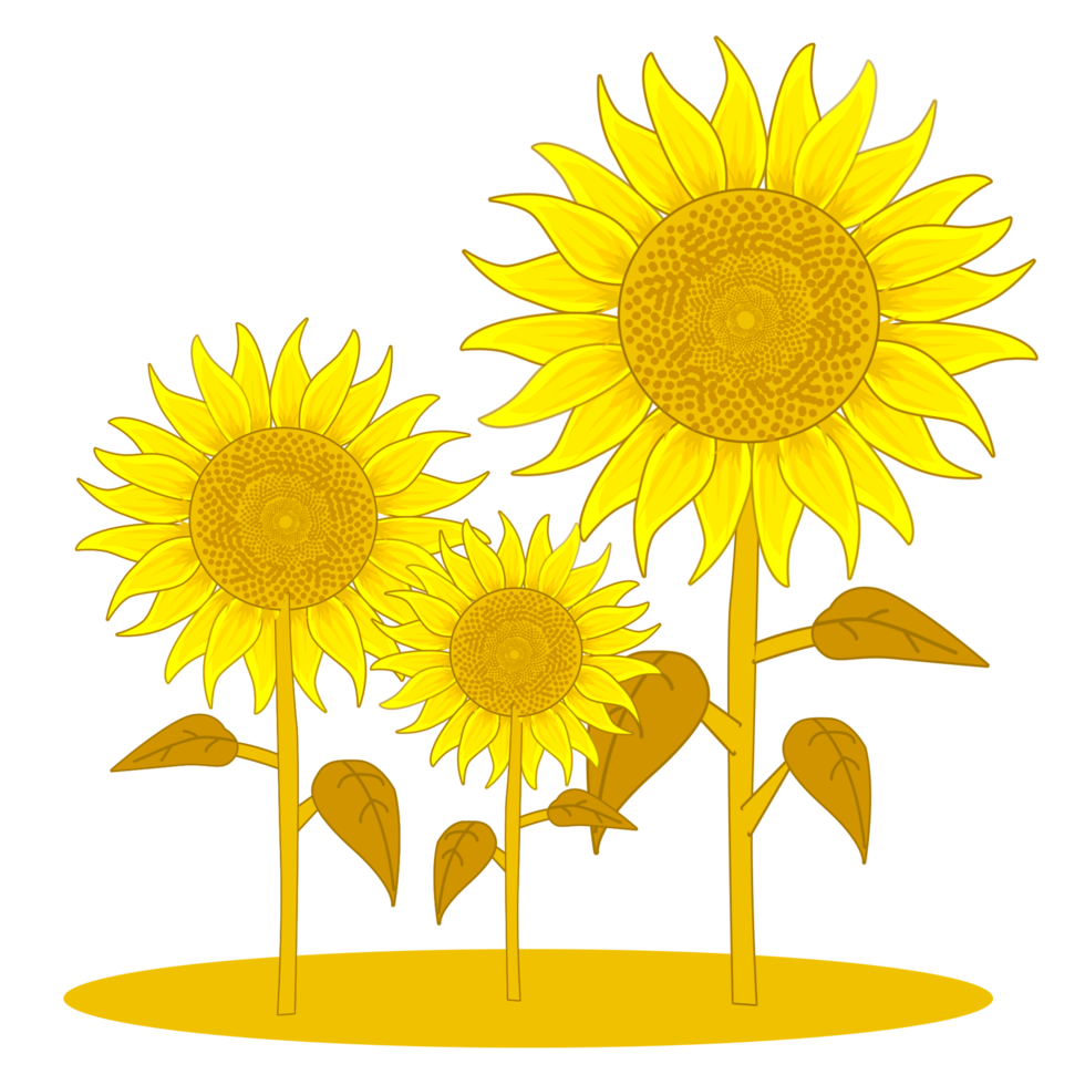yellow sunflower illustration 20956201 PNG