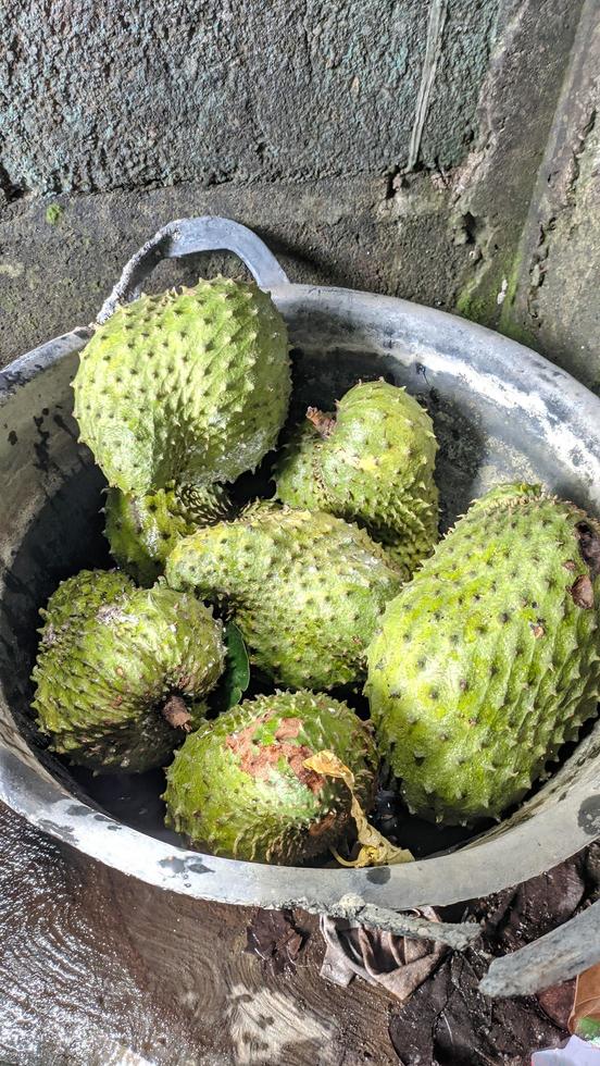 Fresh green soursop fruit photo