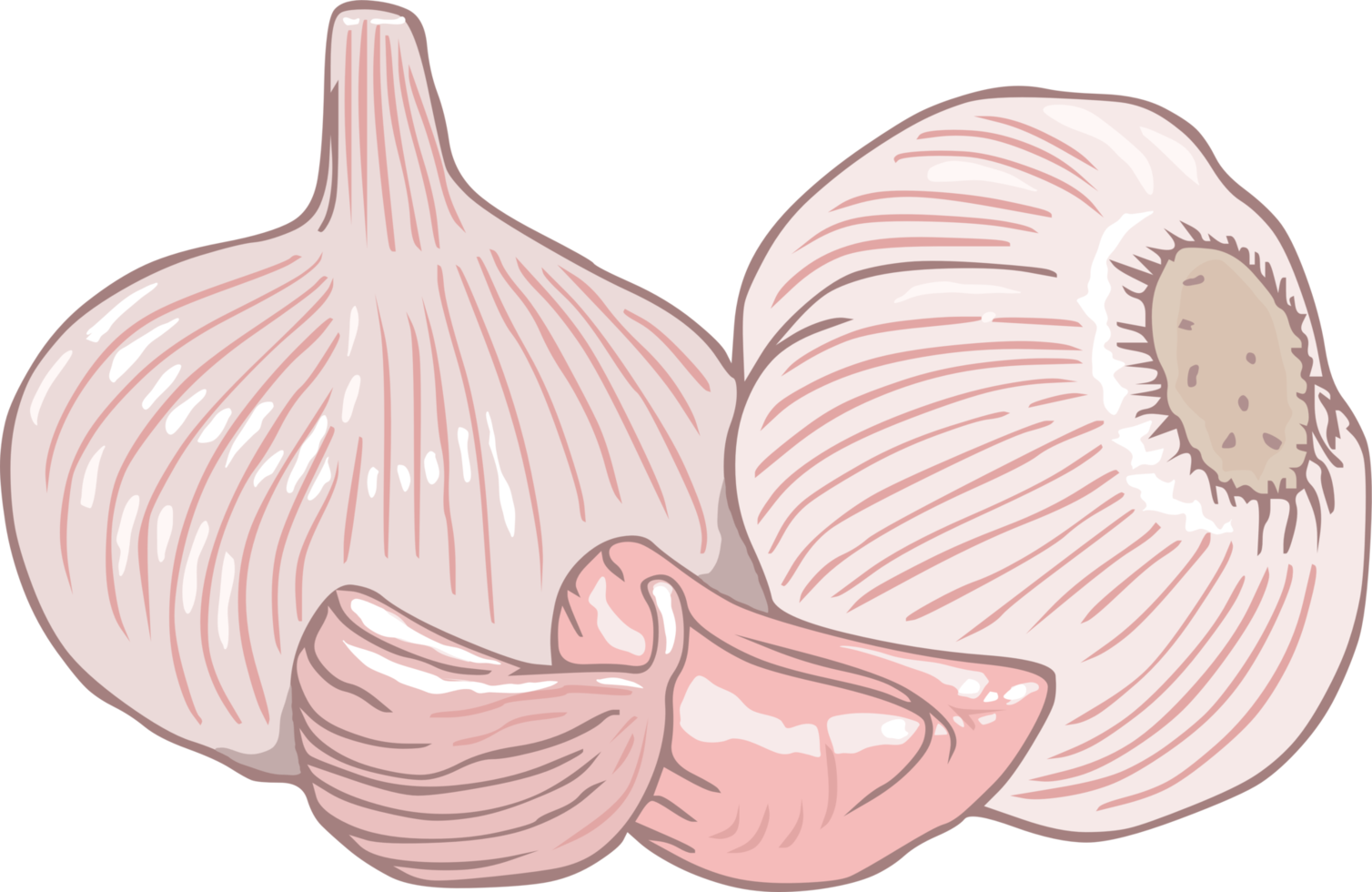 knoflook PNG grafisch clip art ontwerp