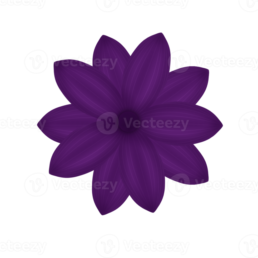flor púrpura floral png