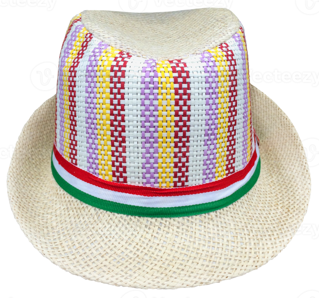 Paja sombrero aislar para diseño png