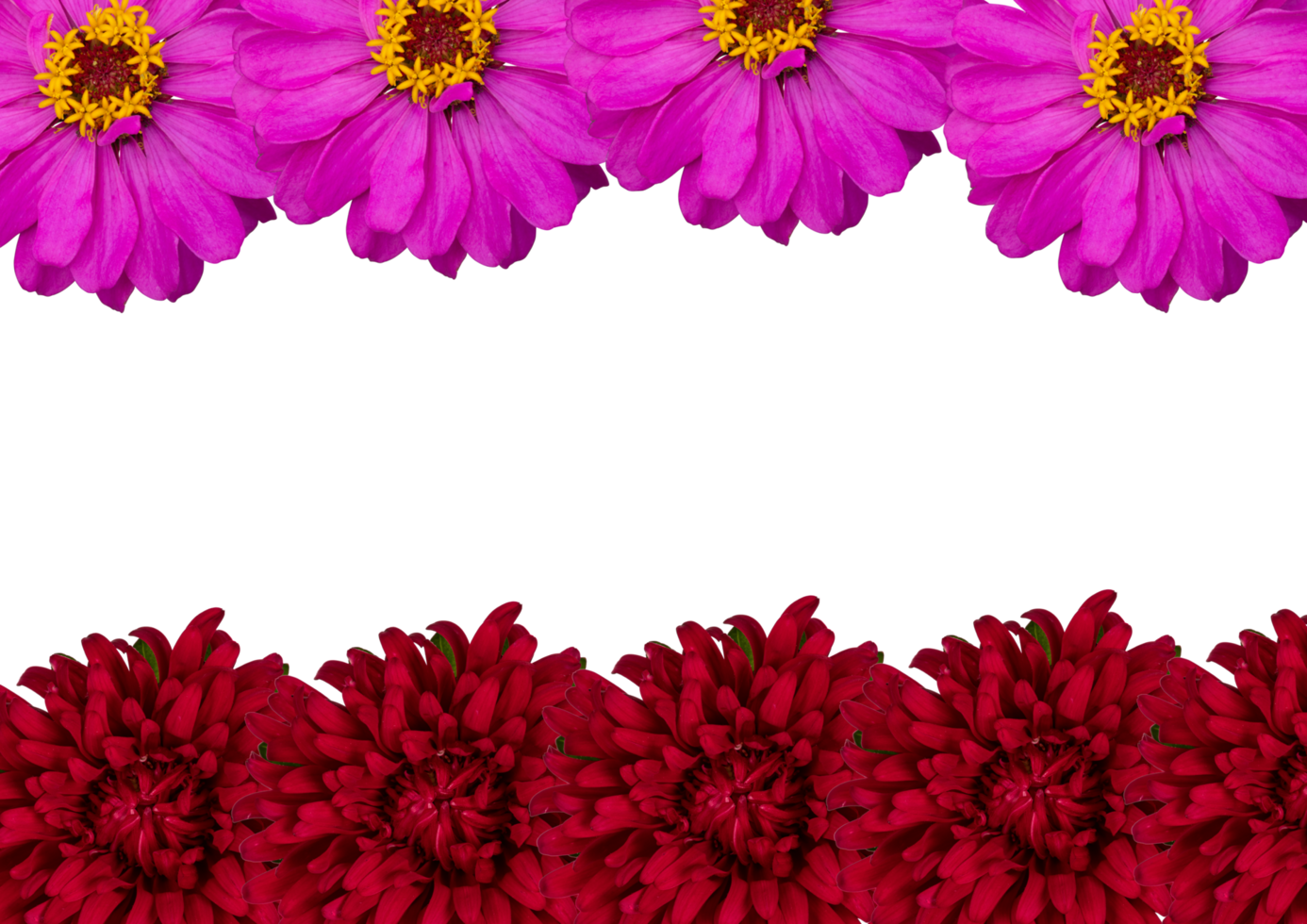 fundo de flor de primavera png