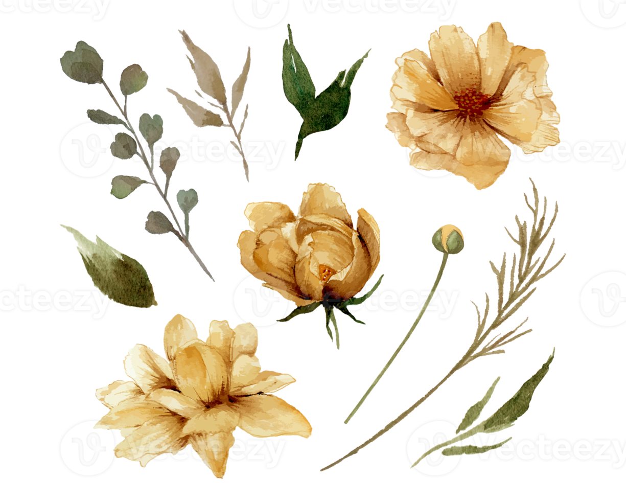 vattenfärg gyllene blommor och löv enskild element illustration png