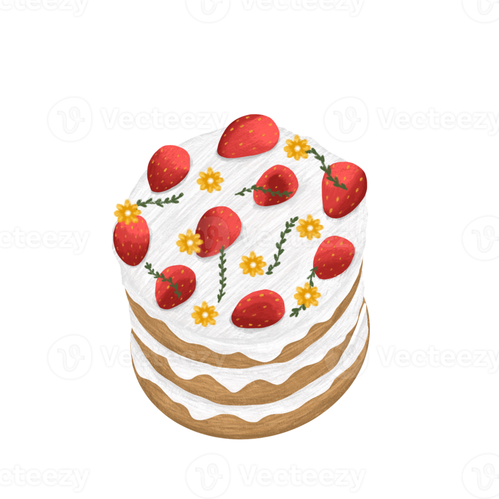 Strawberry Cake illustration png