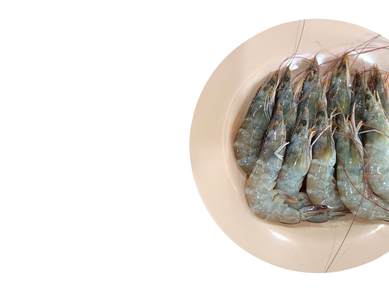 Fresh prawns in pink dish on transparent background png