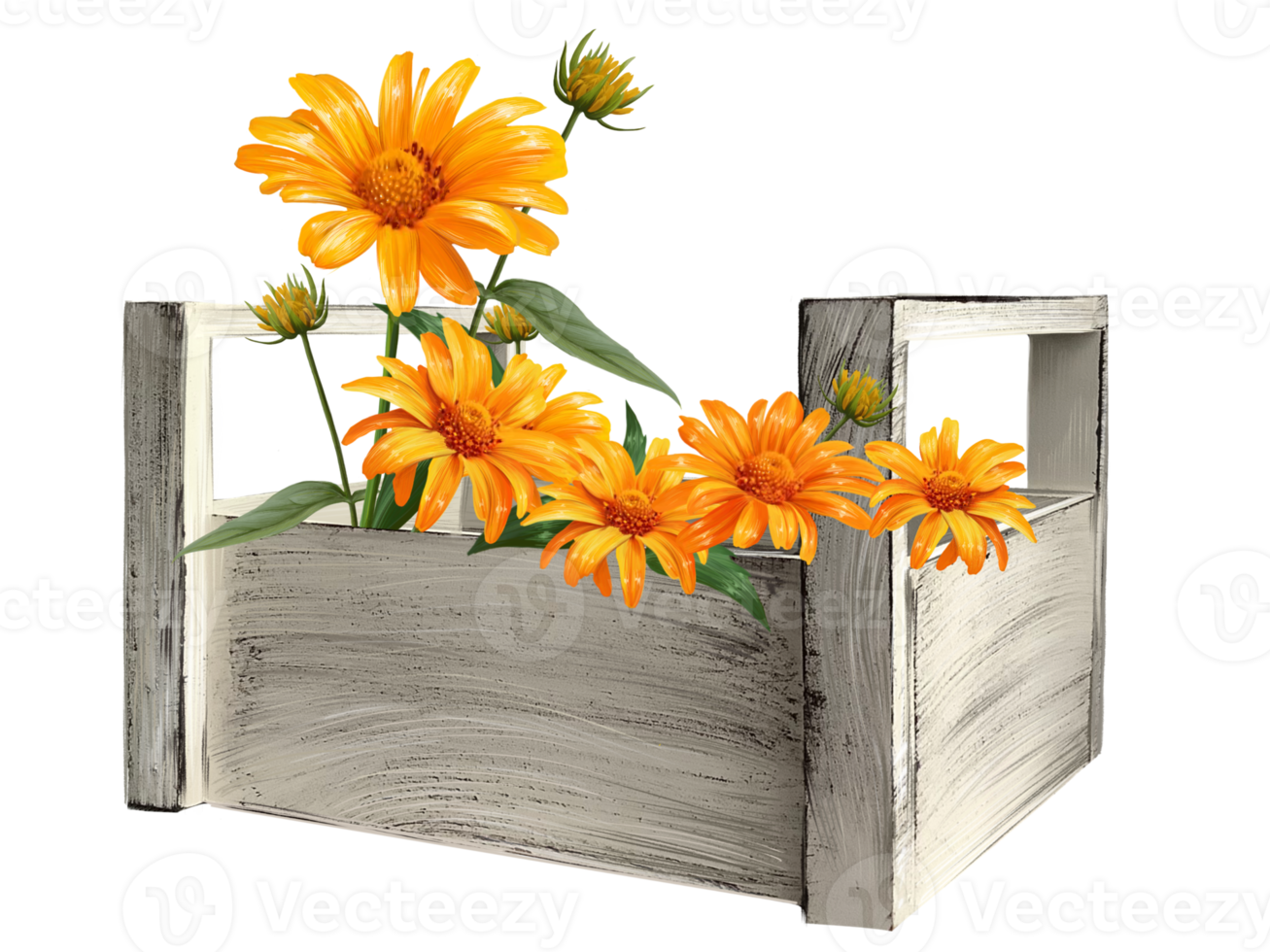 asters in a wooden basket illustration png