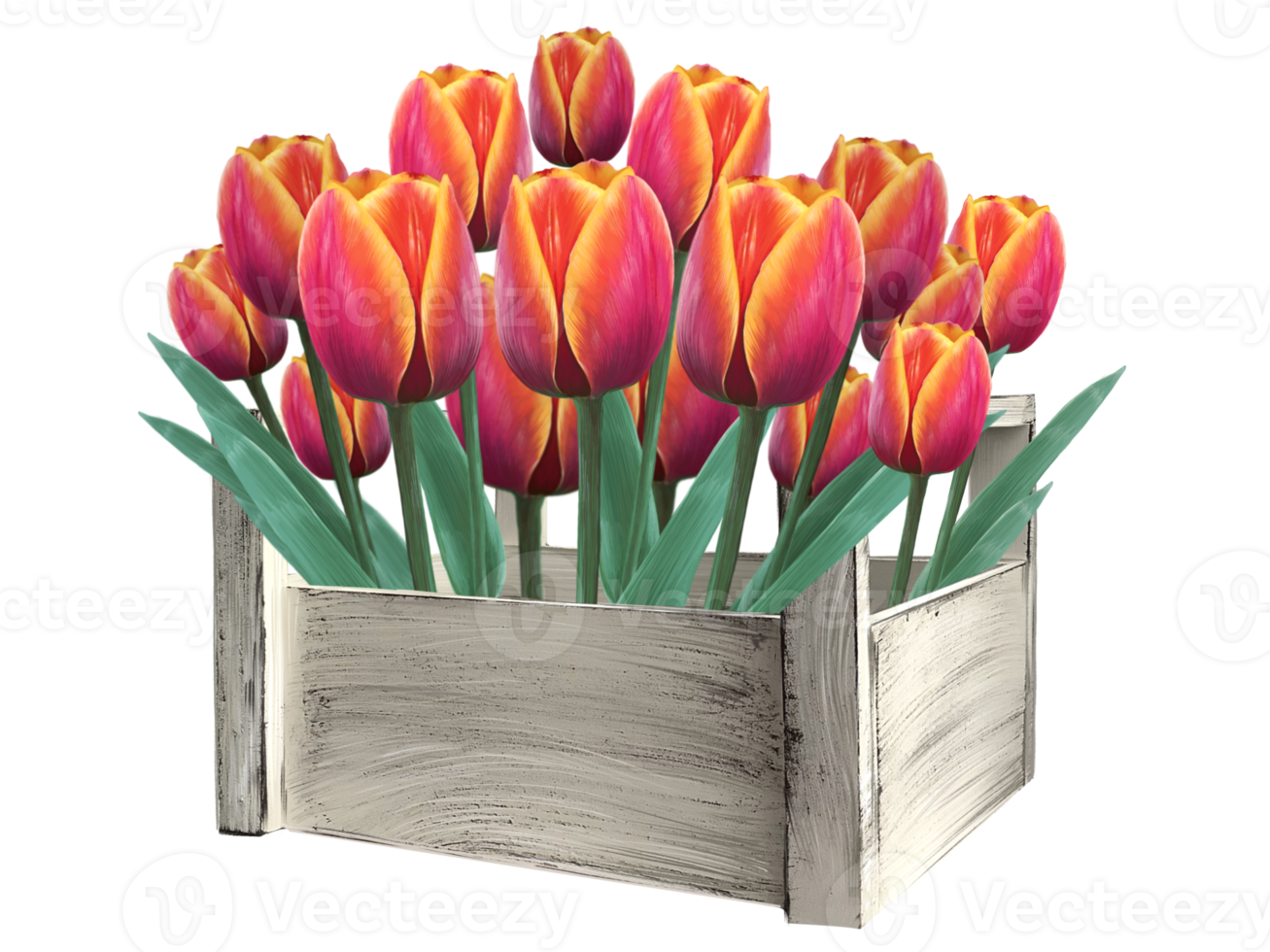 flowers tulips in a wooden box illustration png