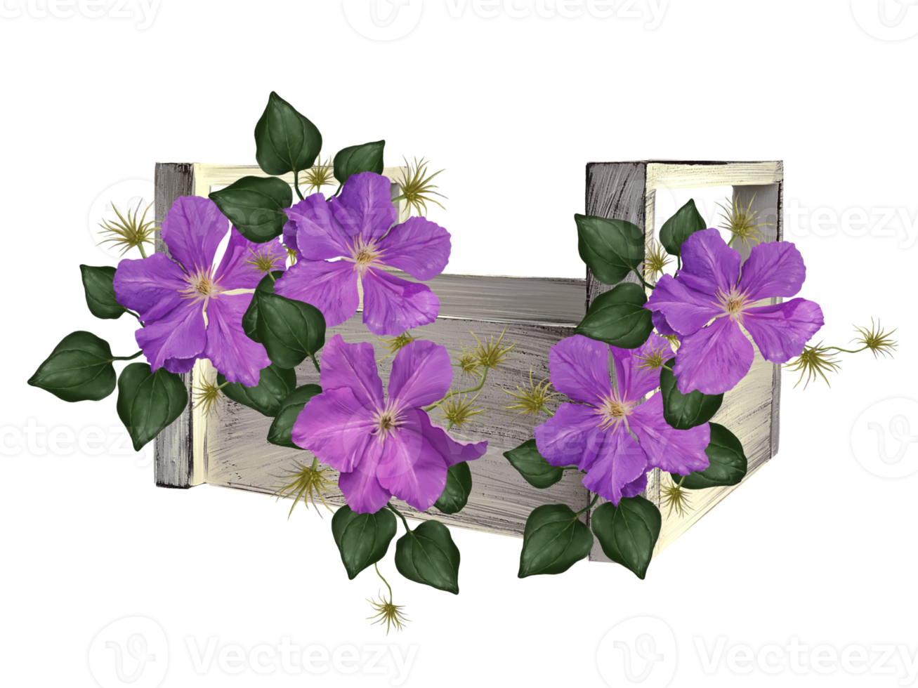 purple climatis flowers in a rustic pot png