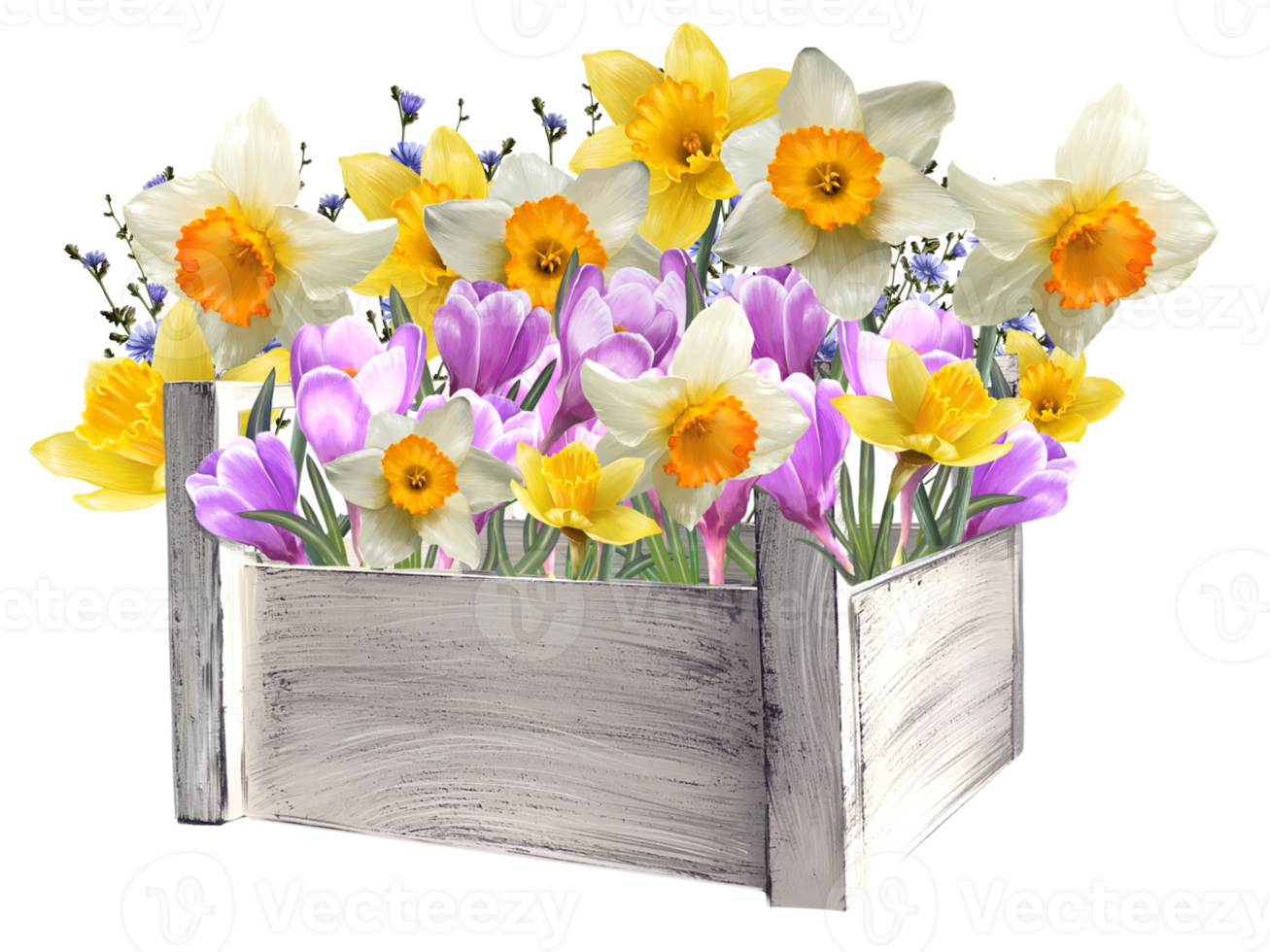 floral arrangement of daffodils and crocuses in a basket illustration png