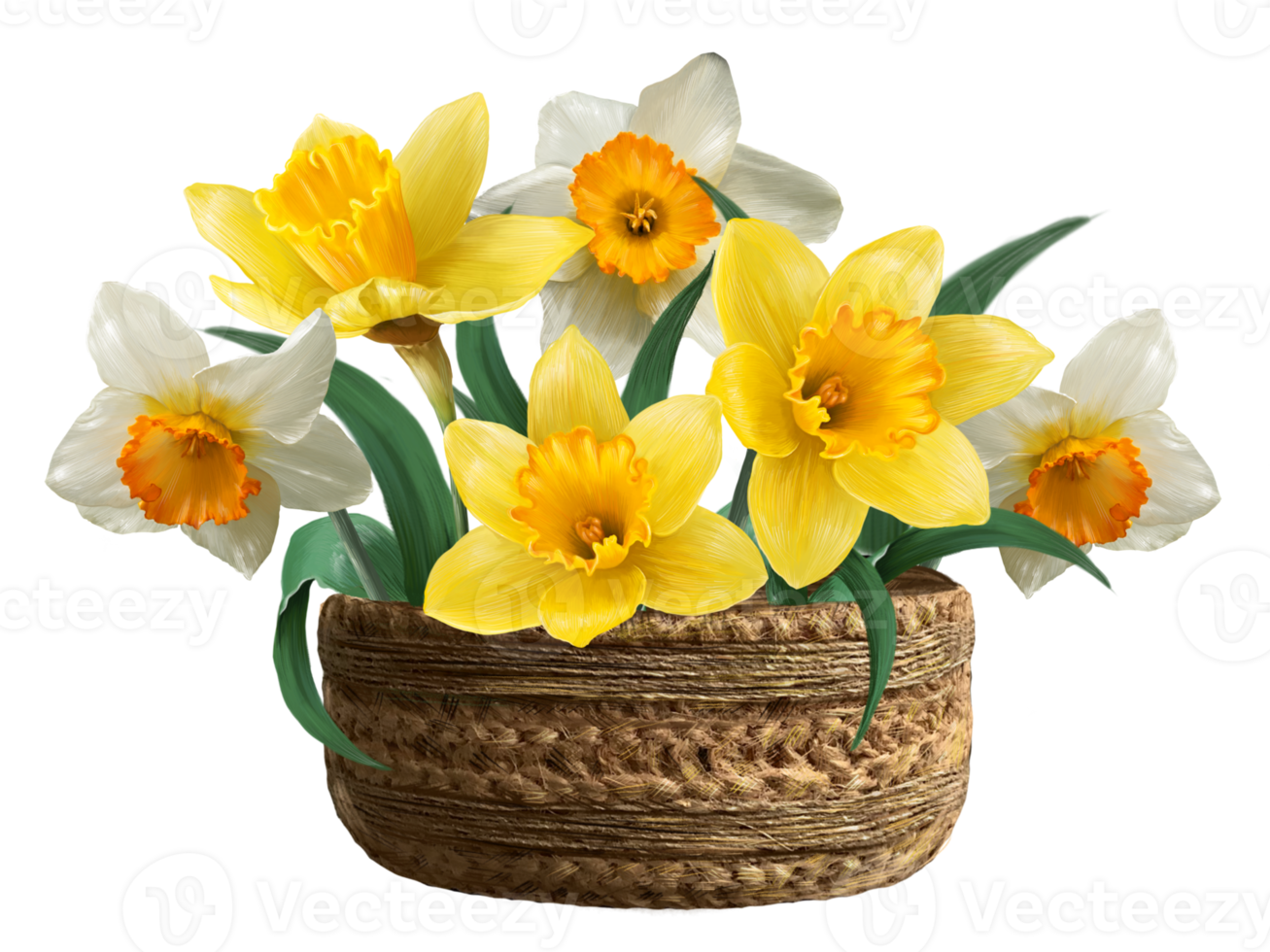 yellow daffodils in a basket illustration png