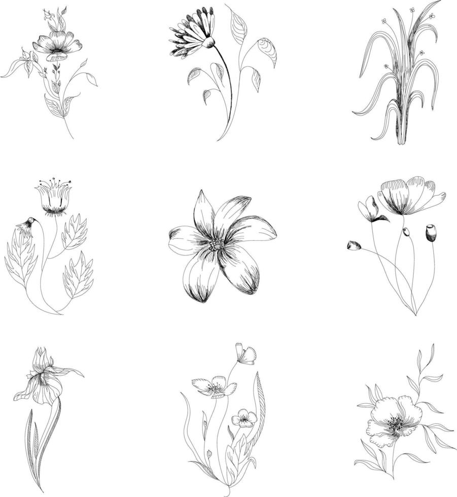 vector ilustraciones floral conjunto flores, hojas y bayas mano dibujado elementos. tatuaje.