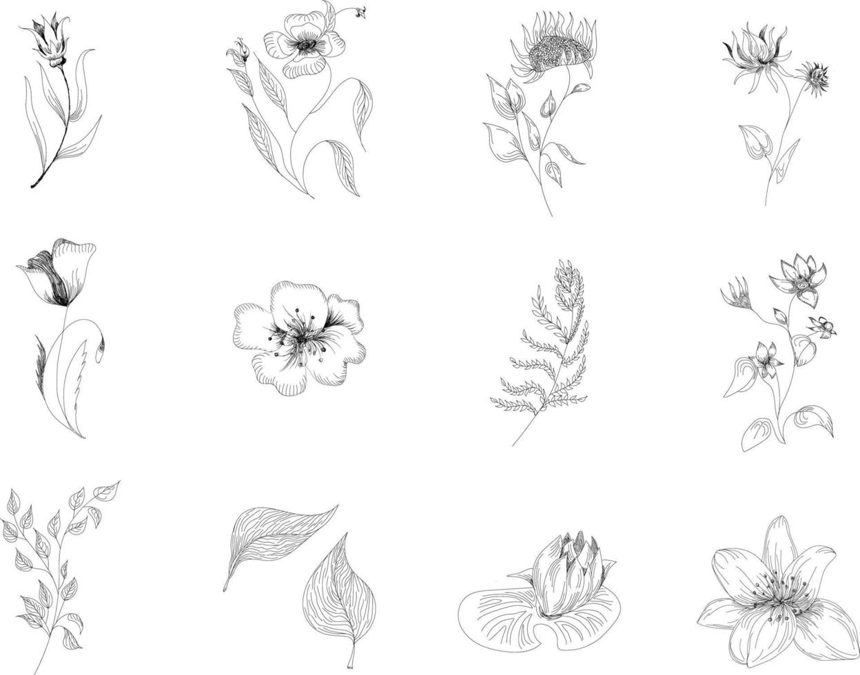Hand drawn set of butterflies, bees and wildflowers. Set of monochrome flying and sitting insects near the flowers. Black and white doodle floral elements. Vector sketch